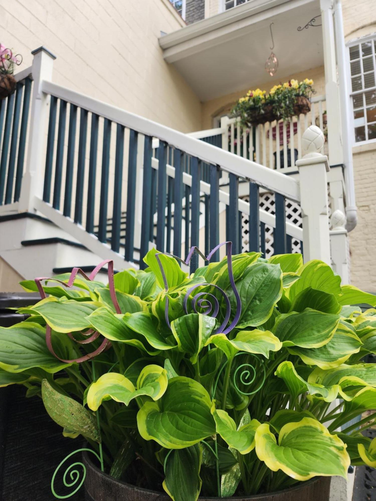 The Richard Johnston Inn & 1890 Caroline House フレデリックスバーグ エクステリア 写真